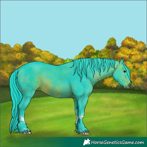Horse Color:Watercolor Brown Tobiano