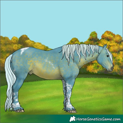 Horse Color:Watercolor Silver Brown Tobiano 