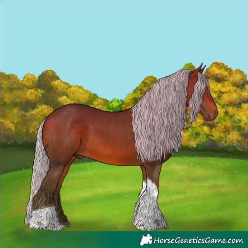 Horse Color:Silver Brown Tobiano