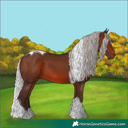 Horse Color:Silver Brown Tobiano 