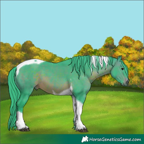 Horse Color:Watercolor Brown Tobiano