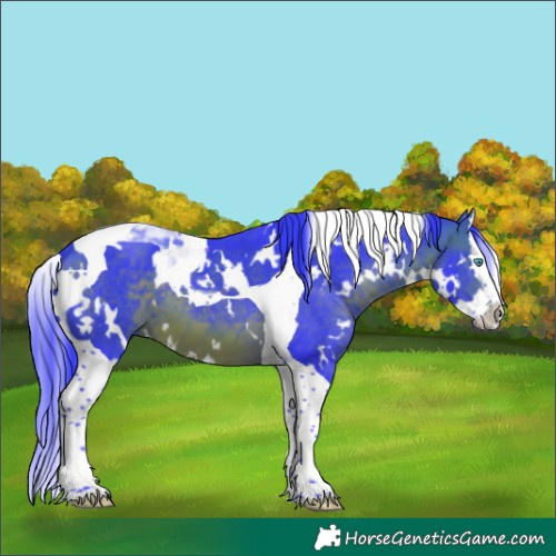 Horse Color:Watercolor White Spotted Brown Splash Tobiano