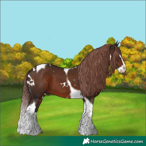 Horse Color:White Spotted Liver Chestnut Splash Tobiano