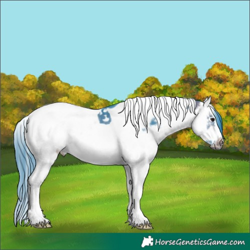 Horse Color:Watercolor White Spotted Bay Splash Tobiano Frame Rabicano
