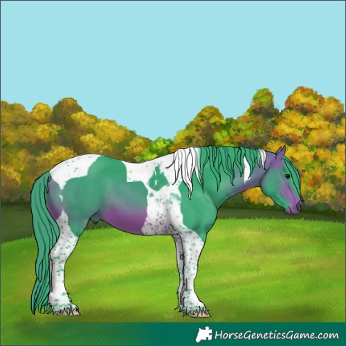 Horse Color:Watercolor Bay Tobiano 