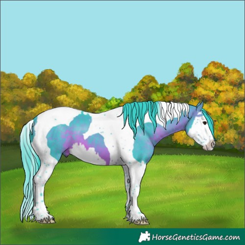 Horse Color:Watercolor Brown Splash Tobiano
