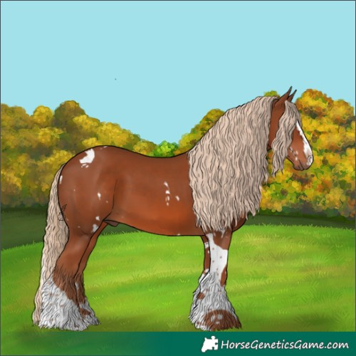 Horse Color:White Spotted Chestnut Splash Tobiano 