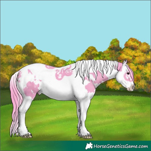 Horse Color:Watercolor White Spotted Black Splash Tobiano 