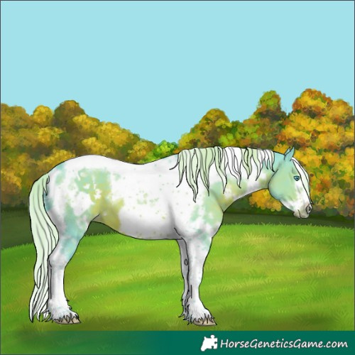 Horse Color:Watercolor White Spotted Liver Chestnut Tobiano Frame 
