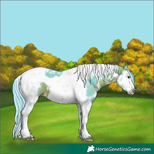 Horse Color:Watercolor White Spotted Bay Splash Tobiano Frame