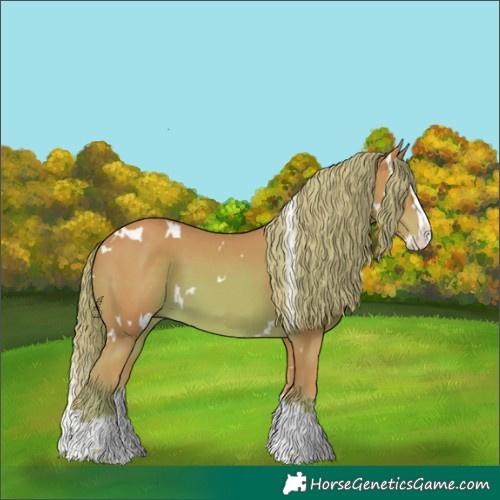 Horse Color:Watercolor White Spotted Chestnut Splash 