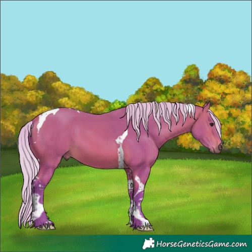 Horse Color:Watercolor Silver Bay Tobiano