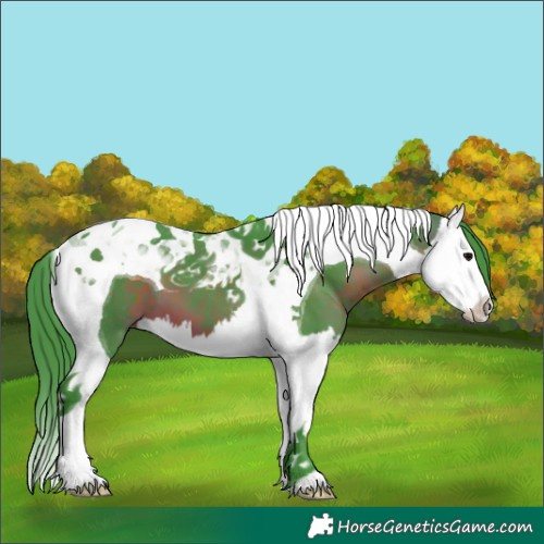 Horse Color:Watercolor Brown Splash Tobiano 