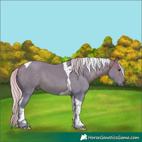 Horse Color:Watercolor Silver Brown Tobiano