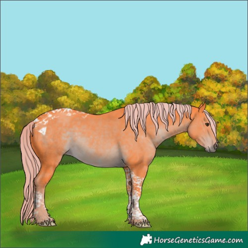 Horse Color:Watercolor Liver Chestnut Tobiano