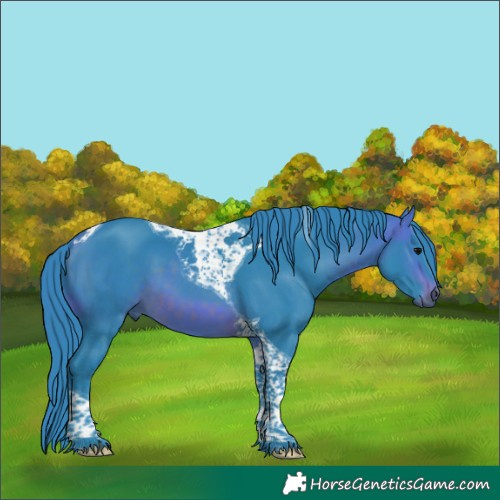 Horse Color:Watercolor Brown Tobiano 