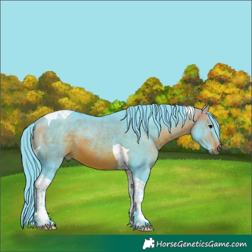 Horse Color:Watercolor Brown Tobiano 