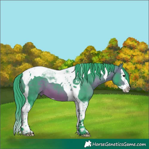 Horse Color:Watercolor Brown Splash Tobiano 