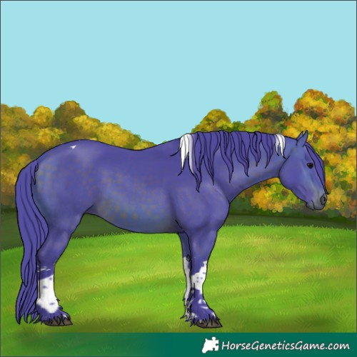 Horse Color:Watercolor Brown Tobiano