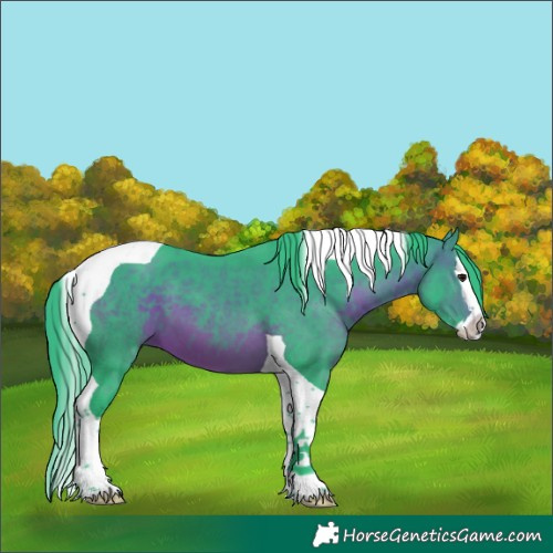 Horse Color:Watercolor Brown Splash Tobiano