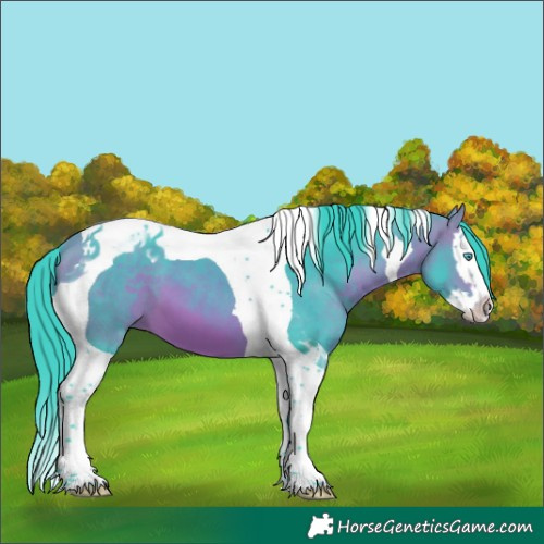 Horse Color:Watercolor Bay Splash Tobiano 