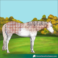 Horse Color:Plaid White Spotted Silver Bay Ice