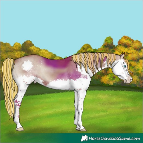 Horse Color:Painted Chocolate Silver Blue Onyx Splash Appaloosa