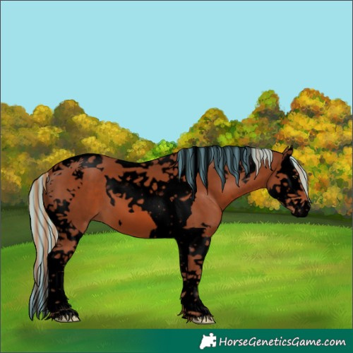 Horse Color:Void Painted Chestnut Splash Tobiano 