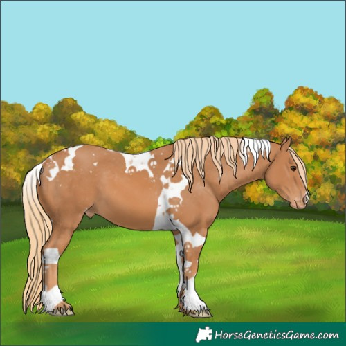 Horse Color:Chestnut Tobiano Varnish 