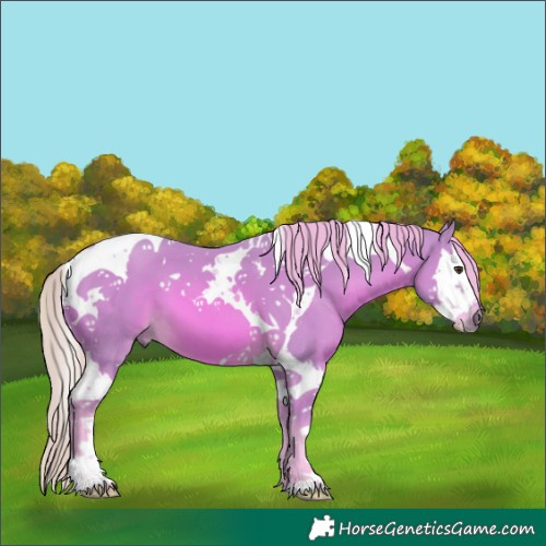 Horse Color:Watercolor Chestnut Splash Tobiano 