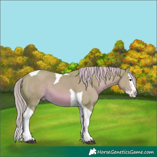 Horse Color:Watercolor Chestnut Splash Tobiano 