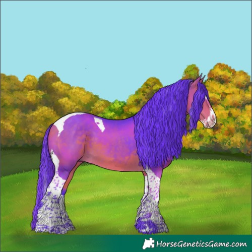 Horse Color:Watercolor Buckskin Splash Tobiano
