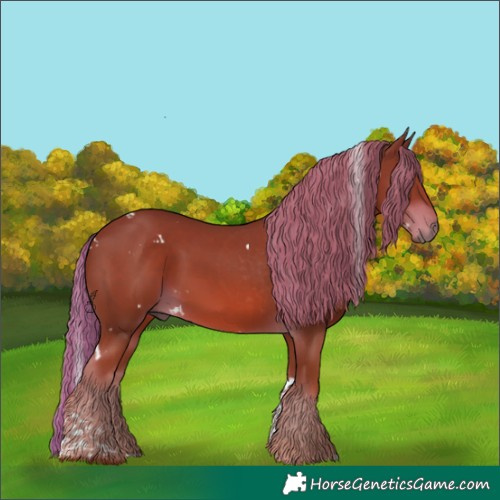 Horse Color:White Spotted Chestnut Tobiano 