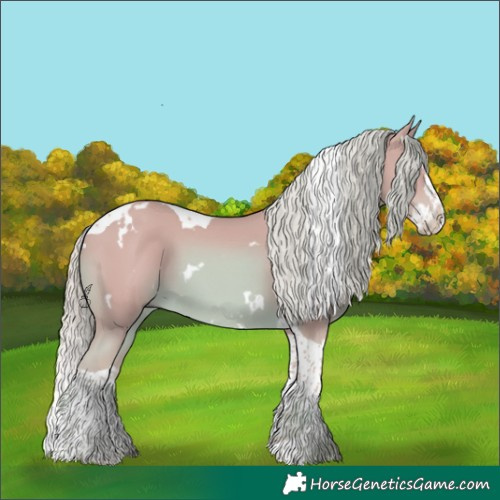 Horse Color:Watercolor White Spotted Chestnut Splash Tobiano 