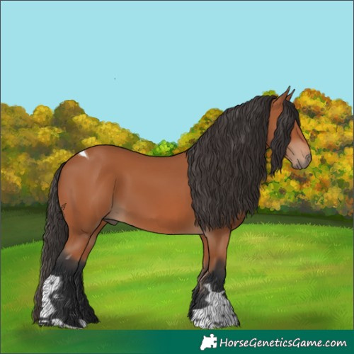 Horse Color:Bay Tobiano 