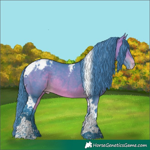 Horse Color:Watercolor Bay Tobiano Blanket Rabicano 