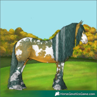 Horse Color:Watercolor Bay Splash Tobiano 