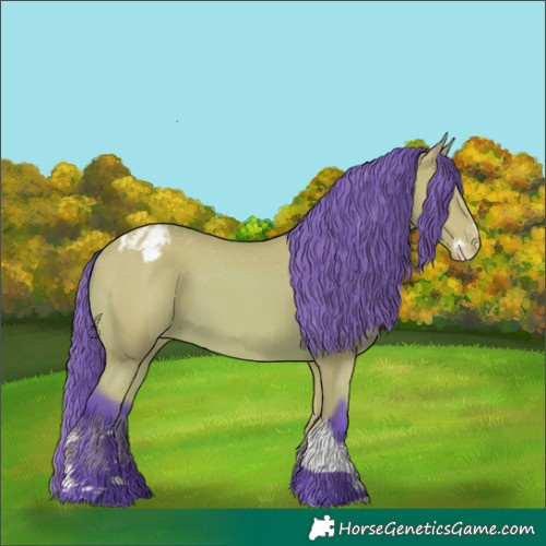 Horse Color:Watercolor Bay Splash Tobiano Appaloosa 