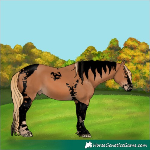 Horse Color:Void Chestnut Splash Tobiano 