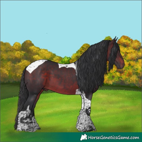 Horse Color:Brown Tobiano