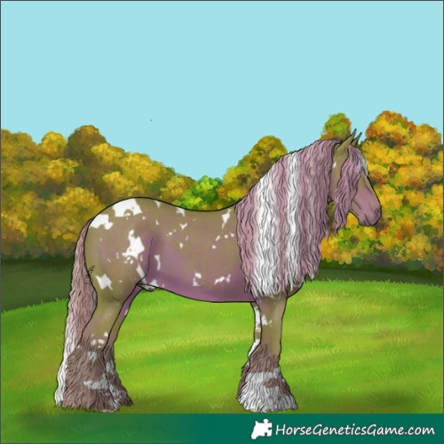 Horse Color:Watercolor White Spotted Liver Chestnut 