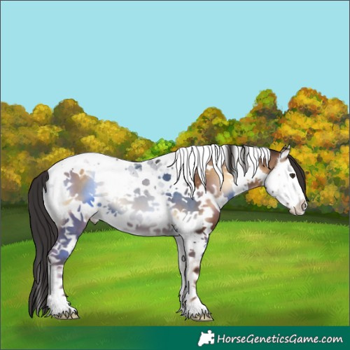 Horse Color:Liver Red Onyx Splash Tobiano 