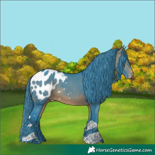Horse Color:Watercolor Bay Tobiano Appaloosa Rabicano 