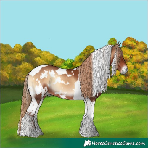 Horse Color:White Spotted Red Onyx Tobiano 