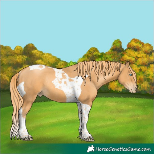 Horse Color:Watercolor Chestnut Pearl Tobiano Rabicano 