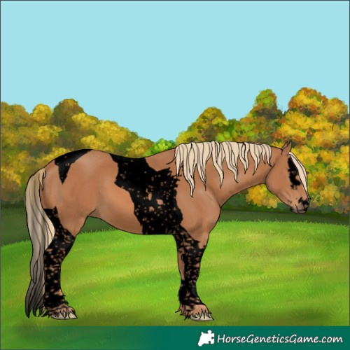 Horse Color:Void Chestnut Splash Tobiano