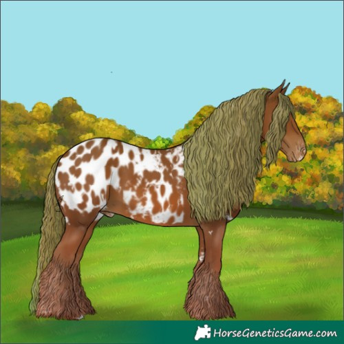 Horse Color:White Spotted Chestnut Blanket Rabicano 