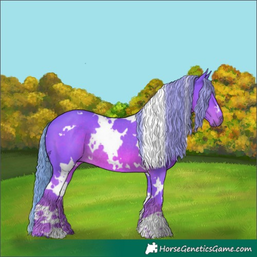 Horse Color:Watercolor White Spotted Chestnut Rabicano 