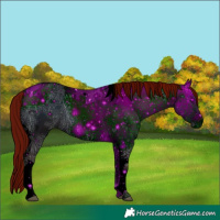 Horse Color:ERROR: UNKNOWN ANOMALY