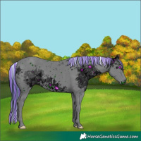 Horse Color:ERROR: UNKNOWN ANOMALY